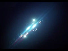 Spiegelgepolijste traansculptuur van roestvrij staal