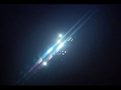 Giraffebeeld van roestvrij staal