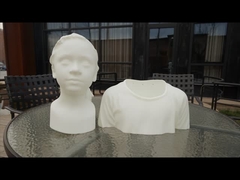 Beeld van roestvrij staal in levensgrootte