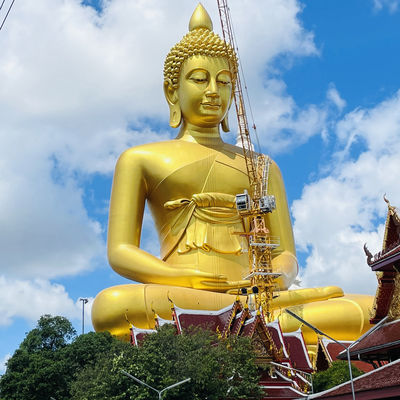 quality  Large Brass Buddha Statue Outdoor Giant Gold Buddha Statue H71m Size factory
